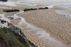藝術家海灘畫9000具人形紀念世界和平日